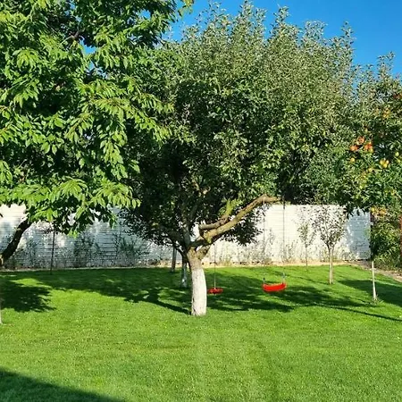 Rr House Apartments Râşnov Exterior photo